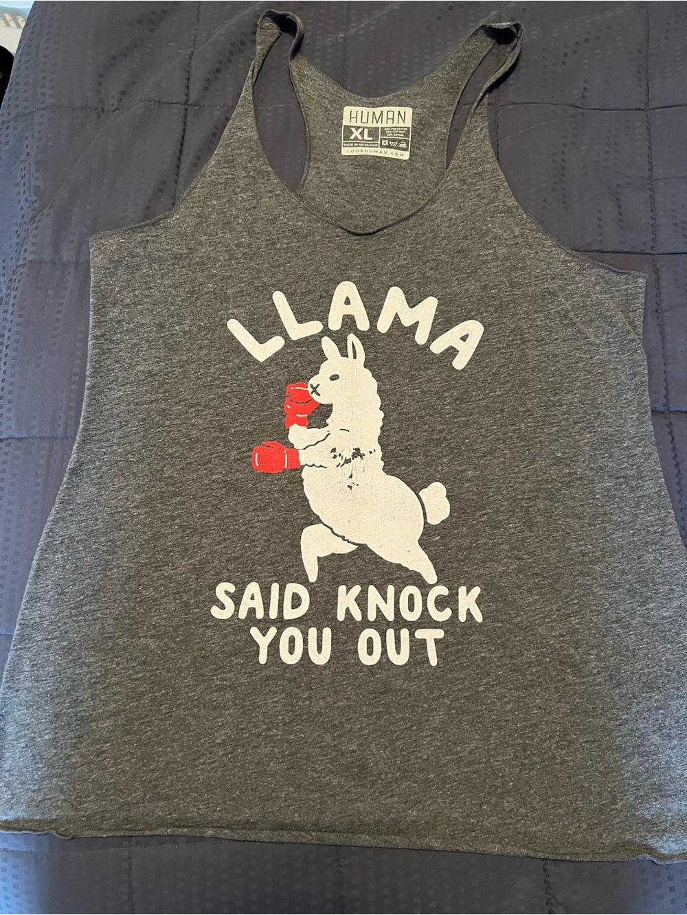 Vans Kids Gray Graphic Llama Tank with Red Boxing Gloves
